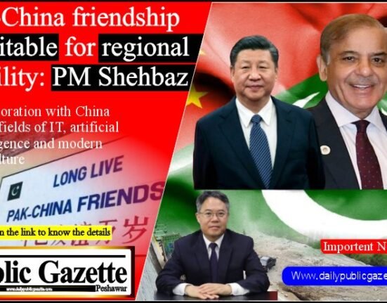 Pak-China friendship inevitable for regional stability: PM Shehbaz